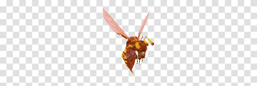 Image, Wasp, Bee, Insect, Invertebrate Transparent Png