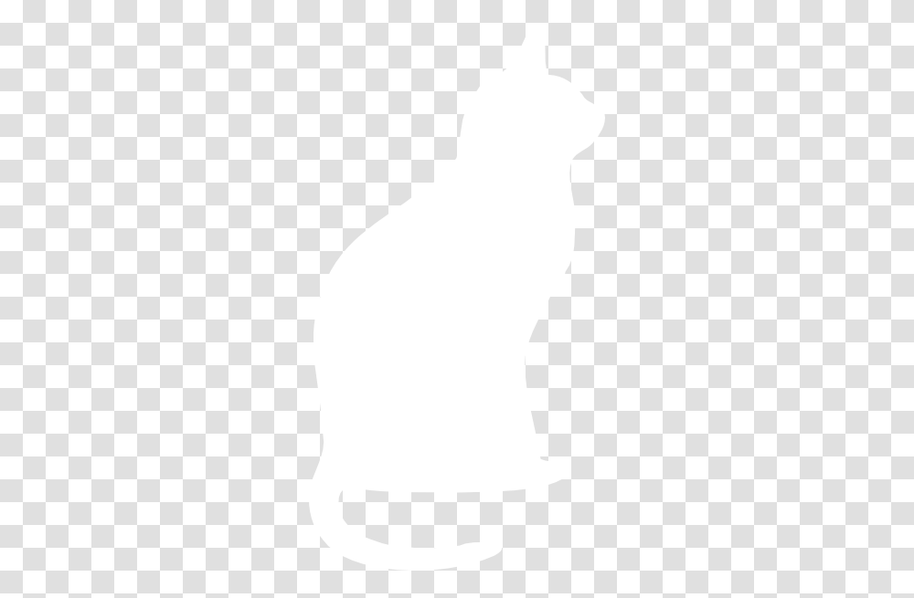 Image, White, Texture, White Board Transparent Png