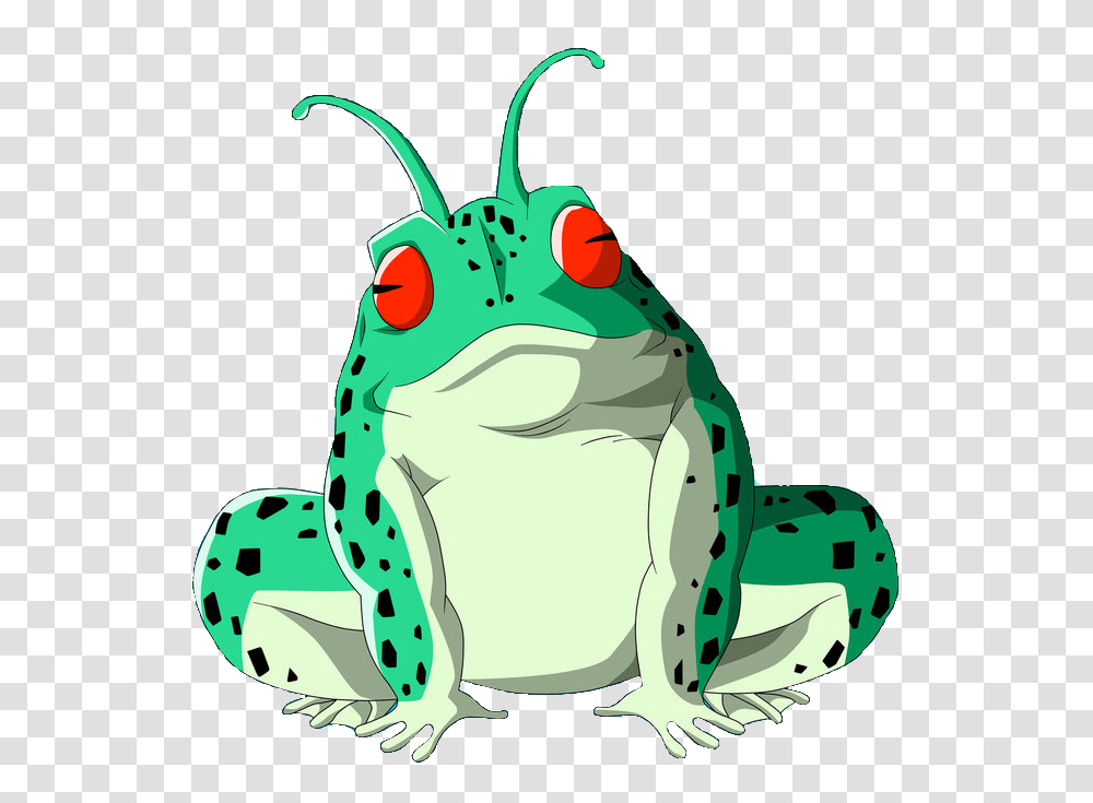 Image, Wildlife, Animal, Frog, Amphibian Transparent Png