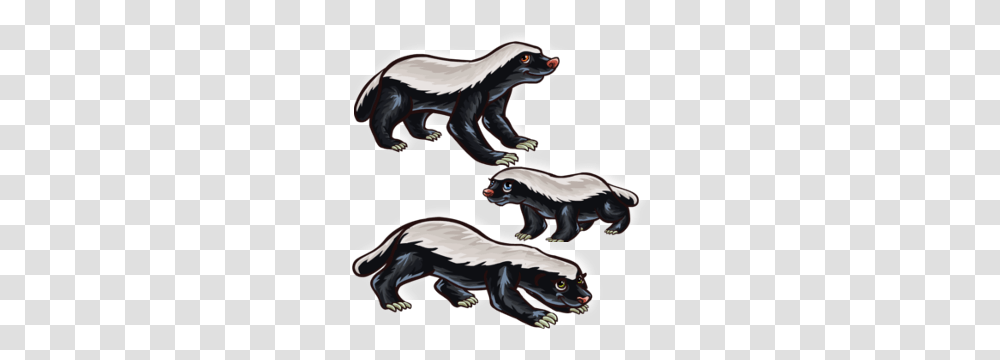 Image, Wildlife, Animal, Mammal, Skunk Transparent Png