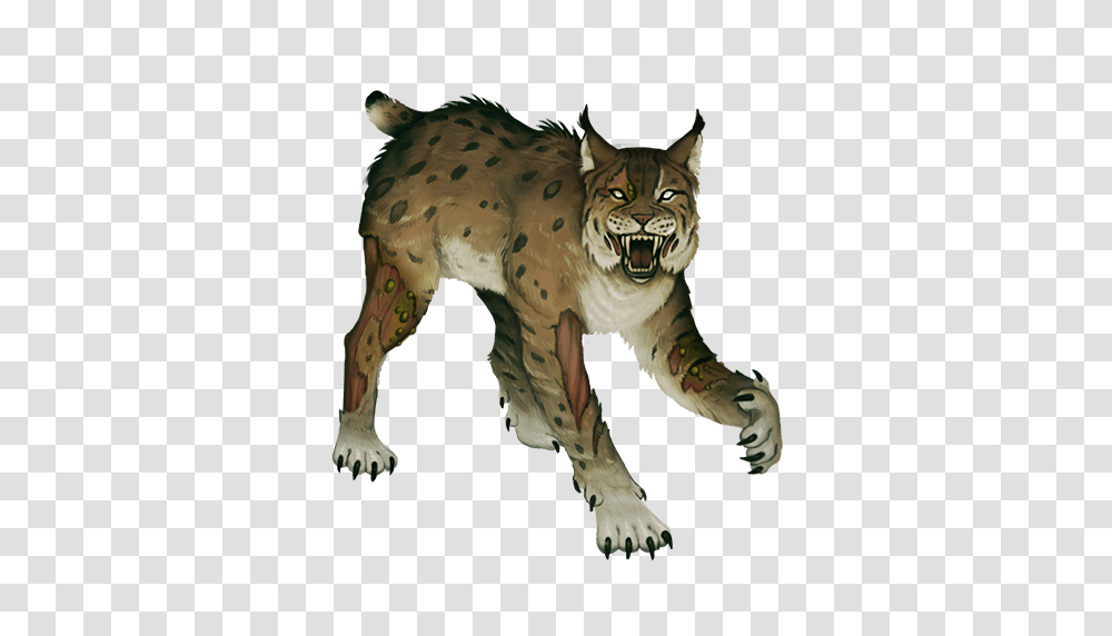 Image, Wildlife, Animal, Mammal, Tiger Transparent Png