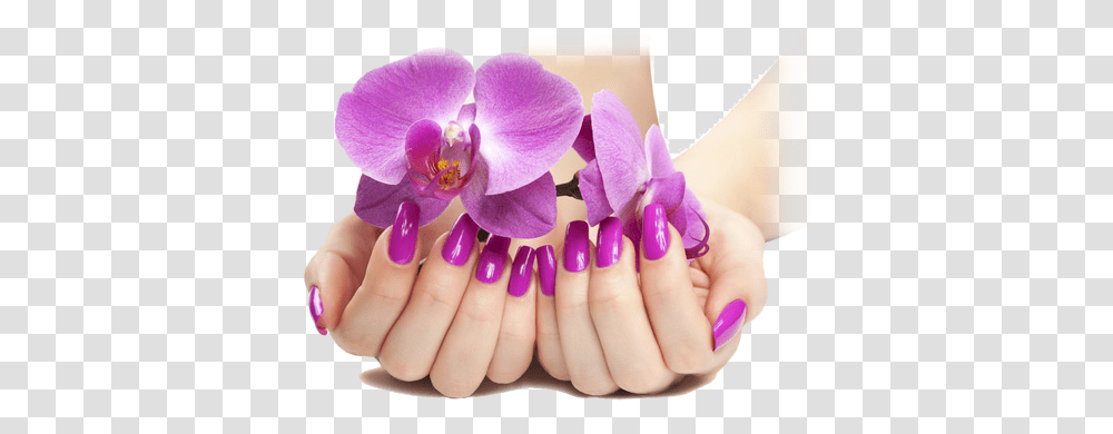 Image With Background Background Nails, Manicure, Person, Human, Plant Transparent Png
