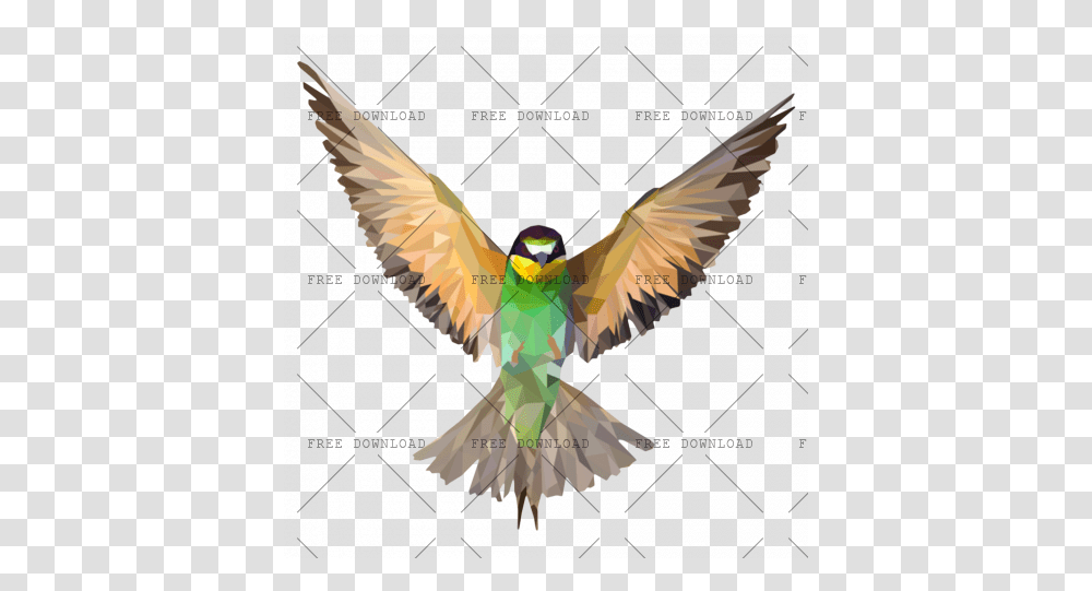 Image With Background Beautiful Bird, Animal, Flying, Bee Eater, Flag Transparent Png