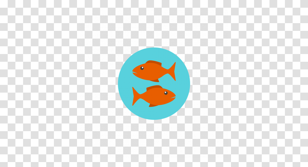 Image With Background Cartoon Fish, Goldfish, Animal Transparent Png