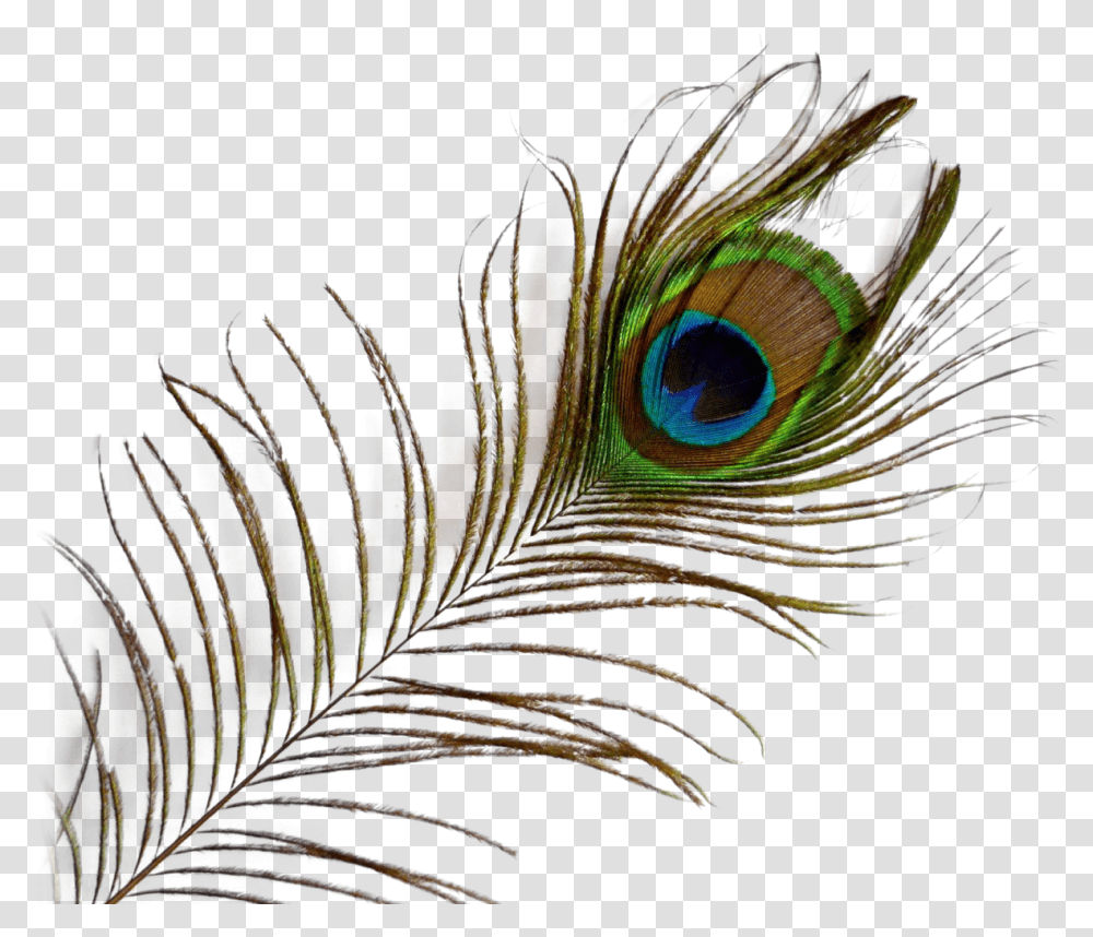 Image With Background Peacock Feather Background, Ornament, Pattern, Fractal, Animal Transparent Png