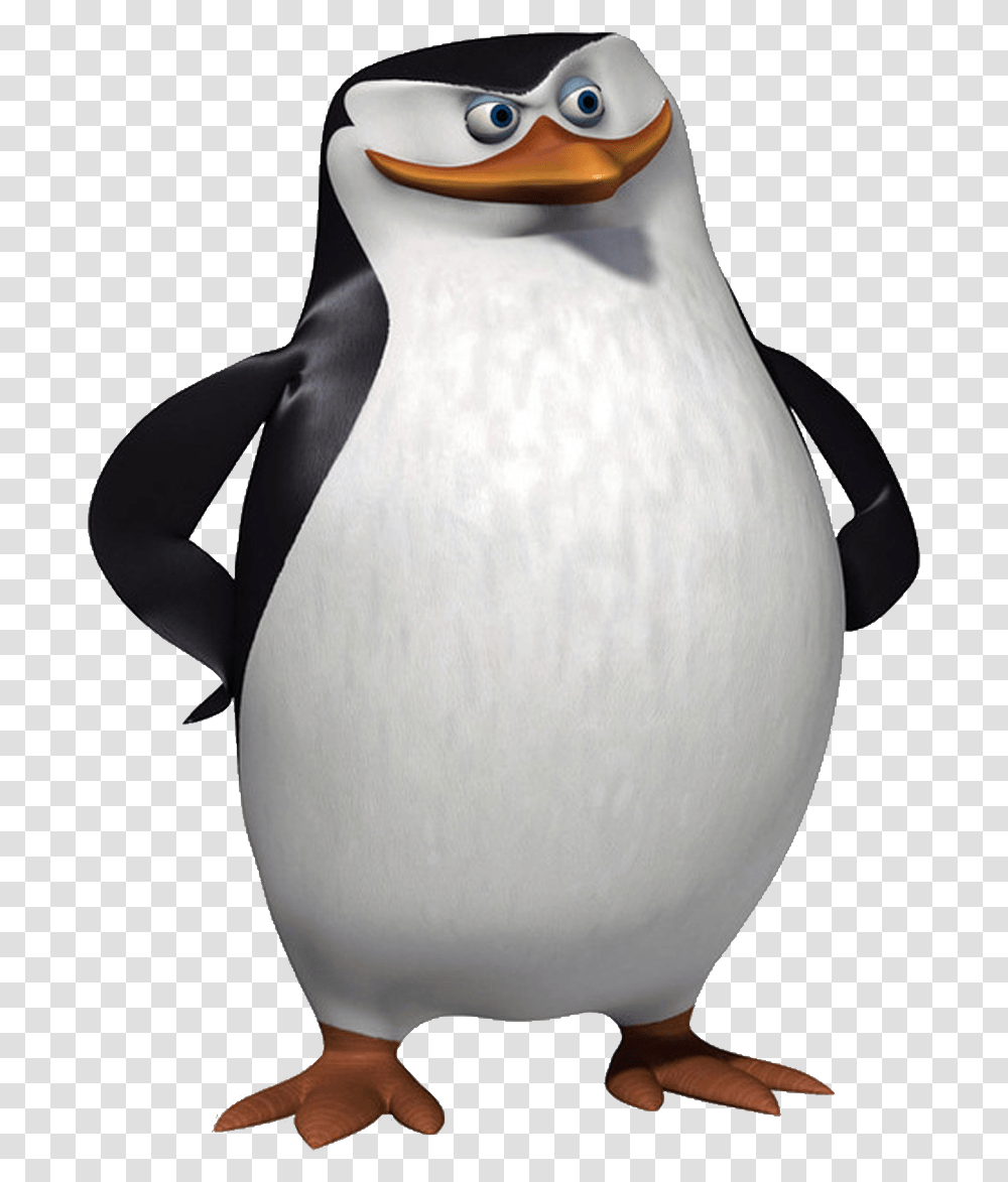 Image With Background Penguins Of Madagascar Skipper, Bird, Animal, King Penguin, Snowman Transparent Png