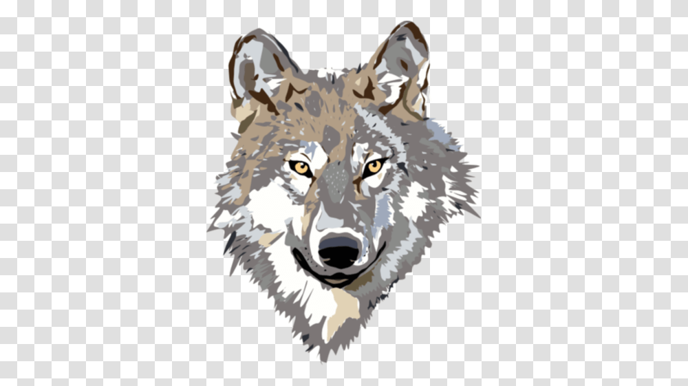 Image, Wolf, Mammal, Animal, Bird Transparent Png