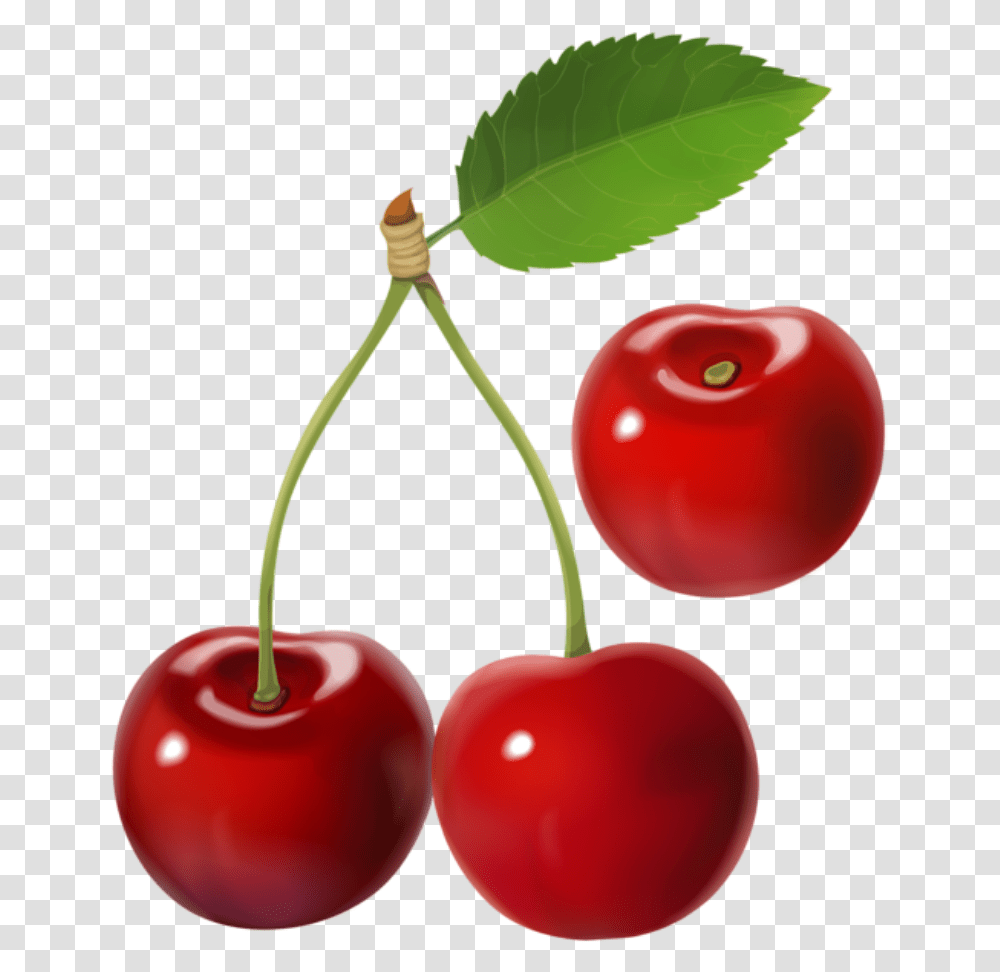 Imagem De Frutas Background Cherries, Plant, Fruit, Food, Cherry Transparent Png