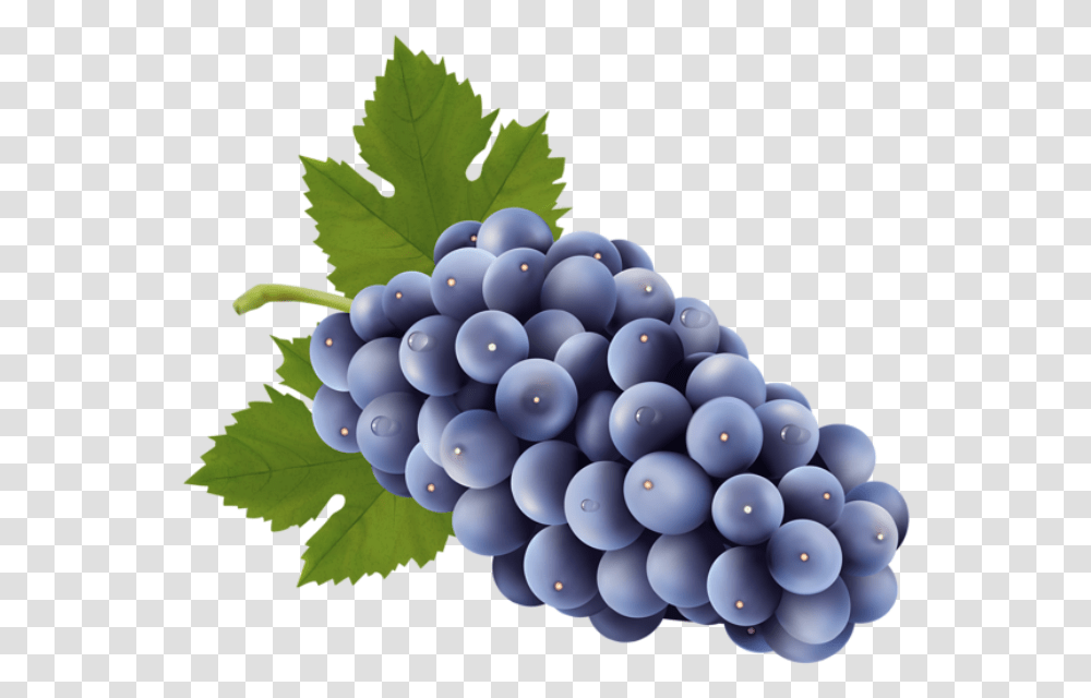 Imagem De Frutas Grapes Clipart, Plant, Fruit, Food, Blueberry Transparent Png