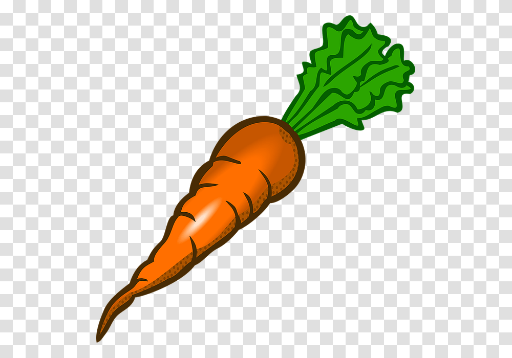 Imagem Relacionada Silhouette Silhouettes, Plant, Carrot, Vegetable, Food Transparent Png