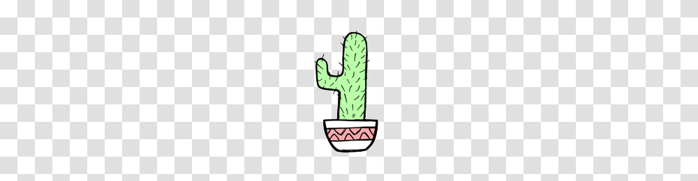 Imagen De Cactus And Cactus, Plant Transparent Png