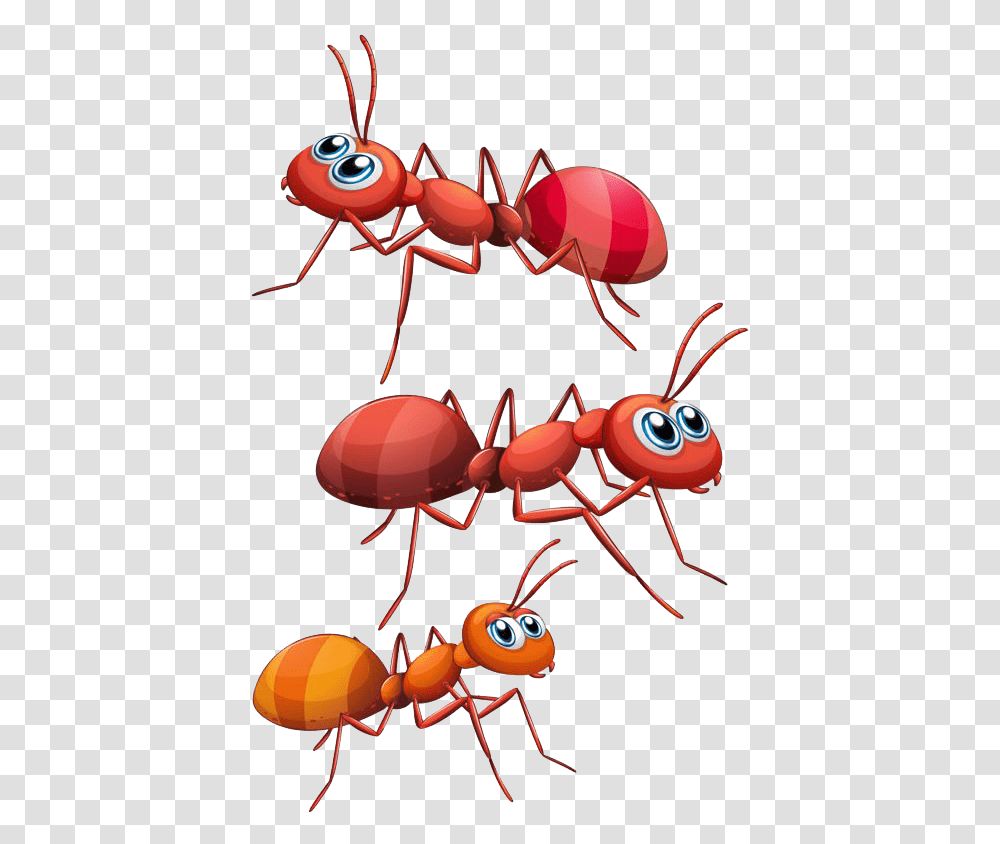 Imagen De Hormigas Animadas, Ant, Insect, Invertebrate, Animal Transparent Png