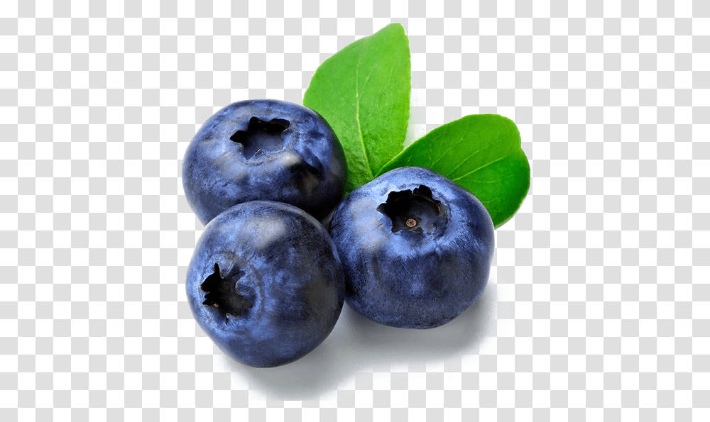 Imagen De Mora Azul, Blueberry, Fruit, Plant, Food Transparent Png