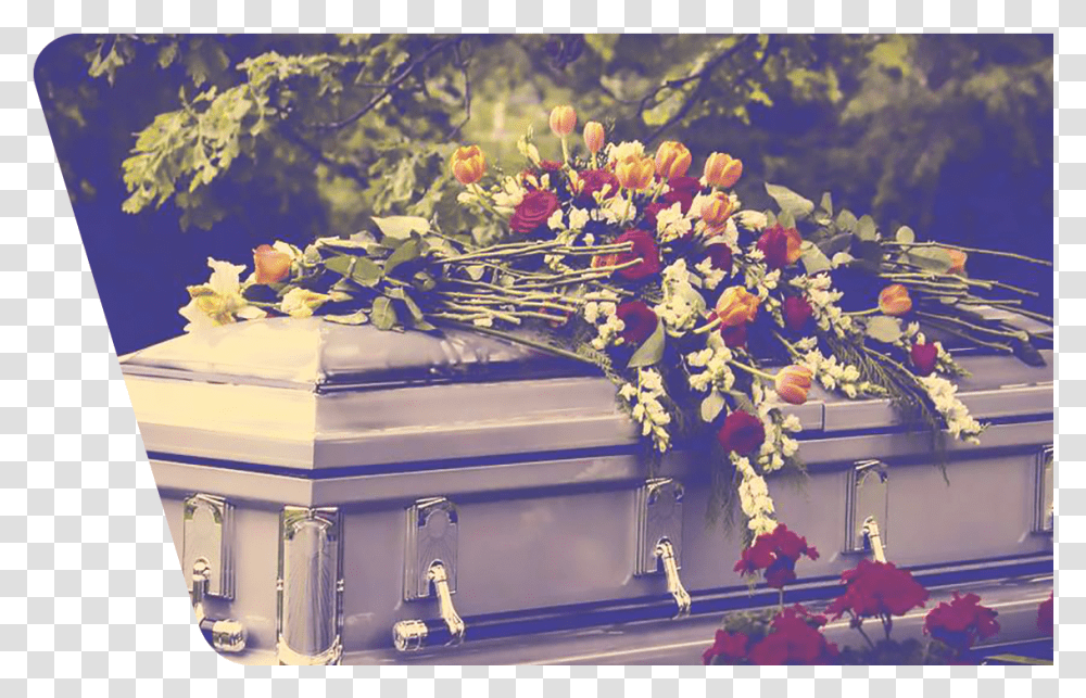 Imagen De Un Funeral, Plant, Flower, Blossom, Flower Arrangement Transparent Png