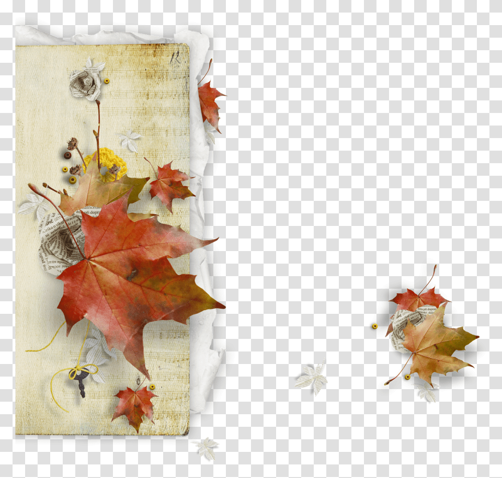 Imagen Fondo Transparente Powerpoint Autumn Gif, Leaf, Plant, Tree, Maple Transparent Png