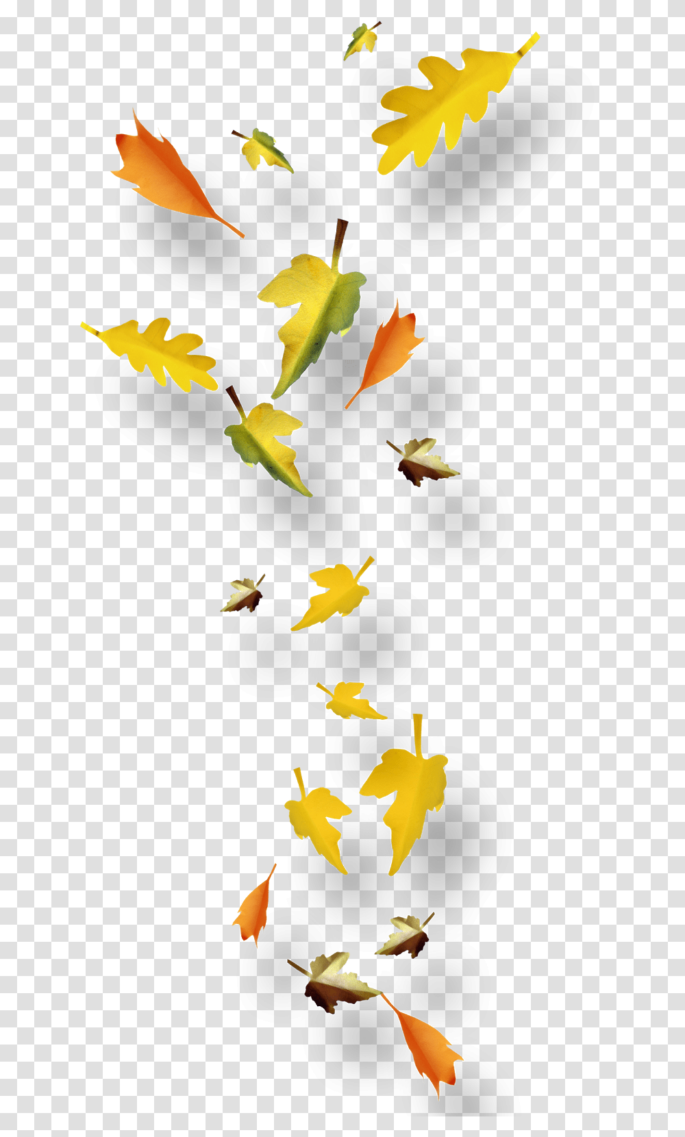 Imagen Fondo Transparente Powerpoint Feuilles D Automnes, Leaf, Plant, Tree, Maple Leaf Transparent Png