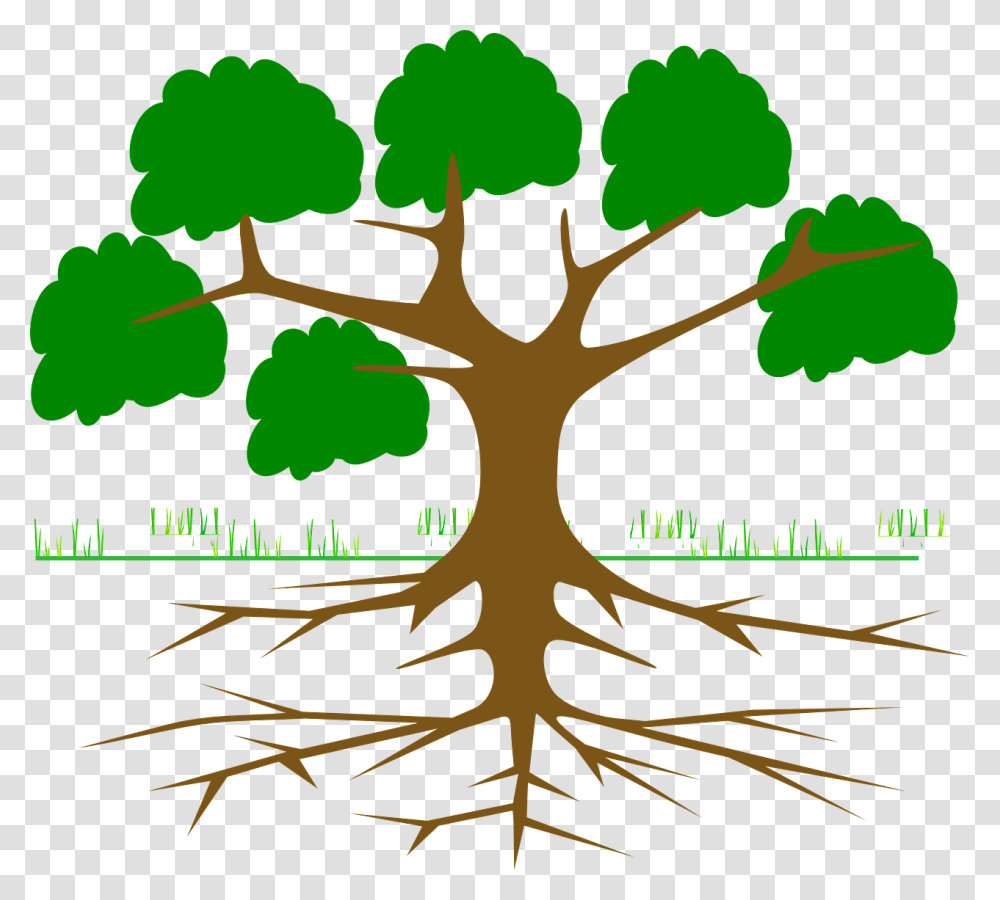 Imagenes De Arboles Con Ramas, Root, Plant, Tree, Poster Transparent Png