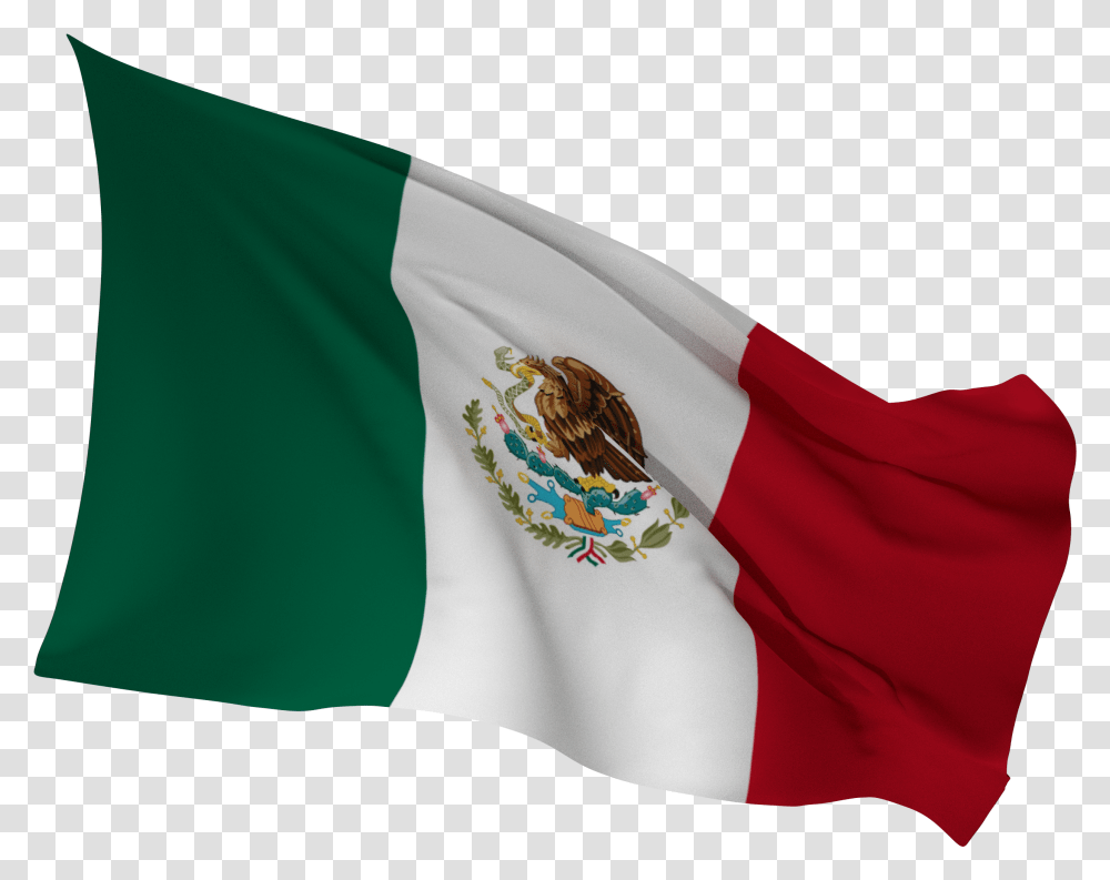 Imagenes De La Bandera De Mexico, Flag, American Flag, Bird Transparent Png