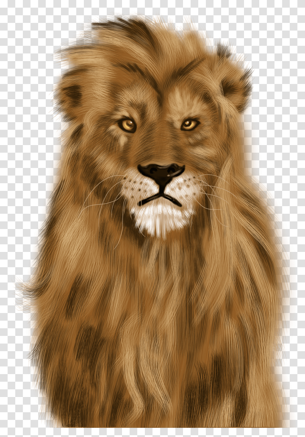 Imagenes De Leon Feroz Transparent Png