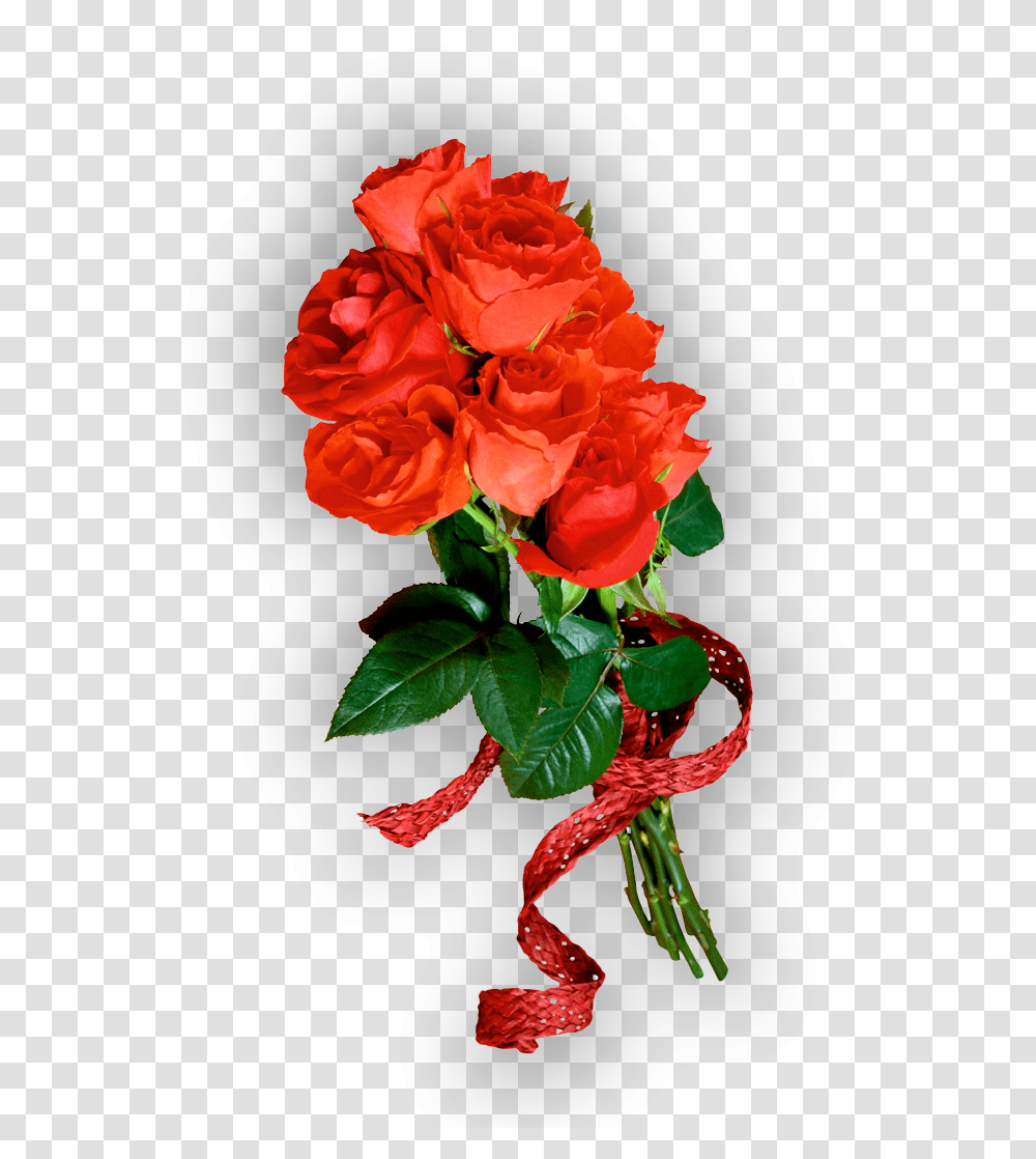 Imagenes De Un Ramo De Rosas Rojas, Plant, Flower, Blossom, Geranium Transparent Png