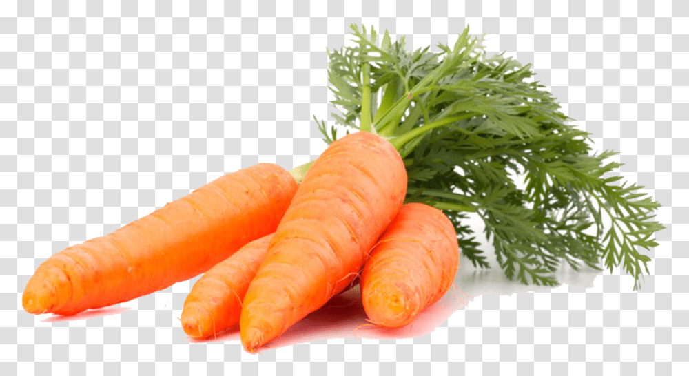 Imagenes De Zanahoria Download Imagenes De Zanahorias En, Plant, Carrot, Vegetable, Food Transparent Png
