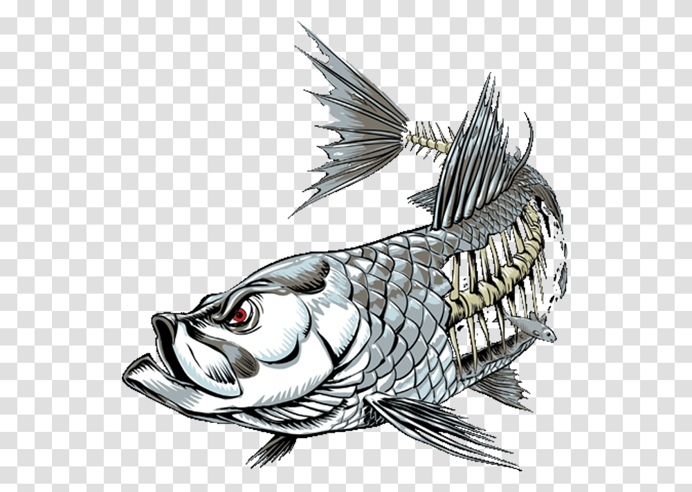 Imagenes Fish Skinz Decais, Dinosaur, Reptile, Animal, Bird Transparent Png