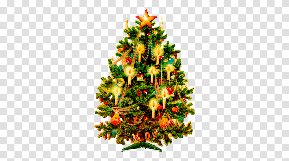 Imagenes Gif De Arboles Navidad Con Victorian Era Christmas Trees, Plant, Ornament Transparent Png