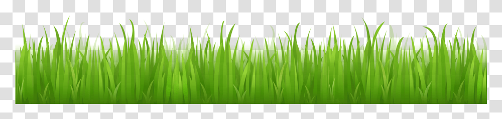 Imagenes Grass Vector Free, Plant, Green, Lawn, Animal Transparent Png