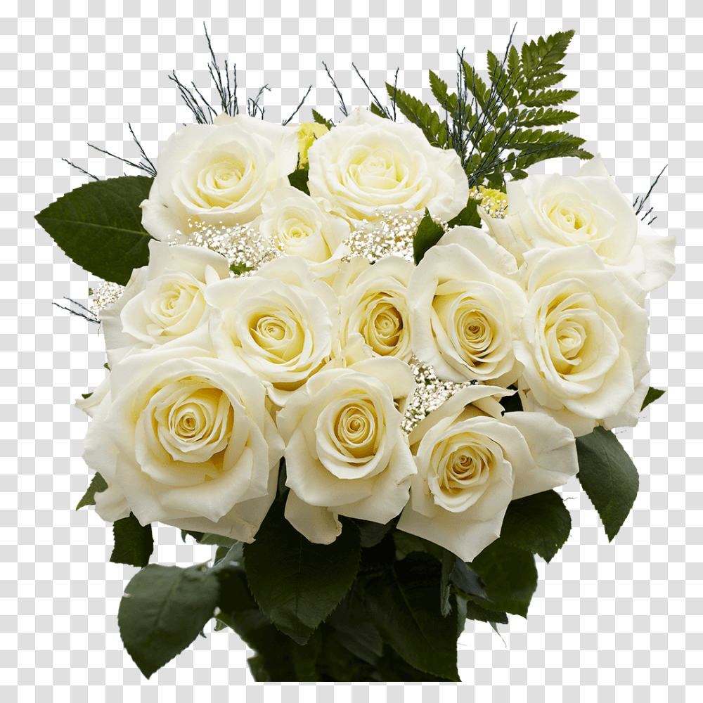 Imagens De Flores Magnificas, Plant, Flower, Blossom, Flower Bouquet Transparent Png