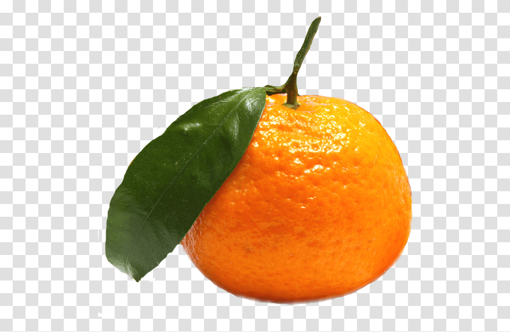 Imagens De Frutas, Citrus Fruit, Plant, Food, Orange Transparent Png