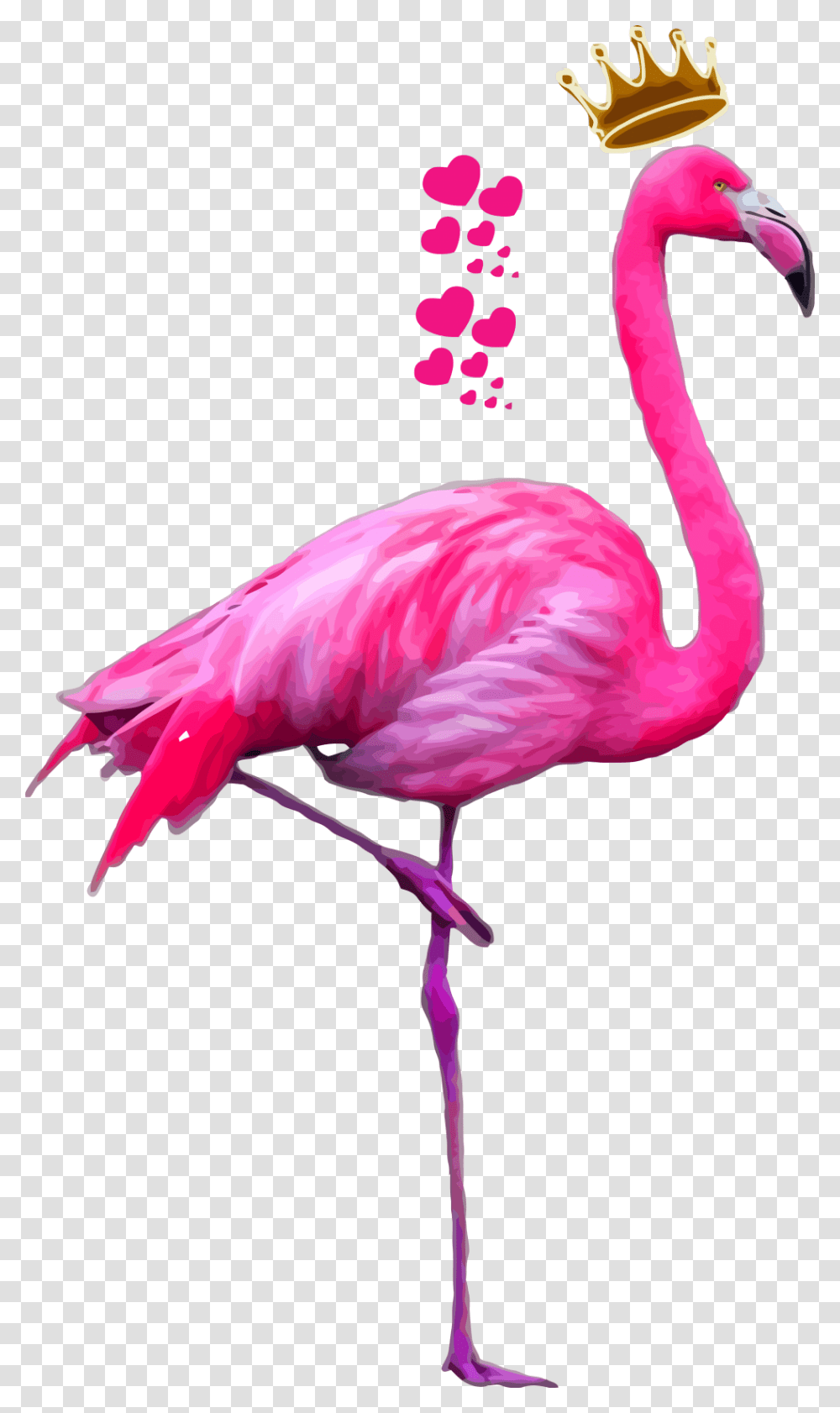 Imagens Tumblr Flamingo, Bird, Animal, Beak Transparent Png