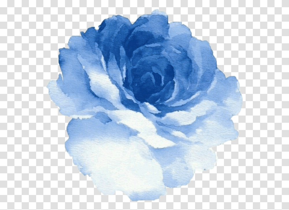 Images About Draw On We Heart It Blue Watercolor Flower, Plant, Blossom, Carnation Transparent Png