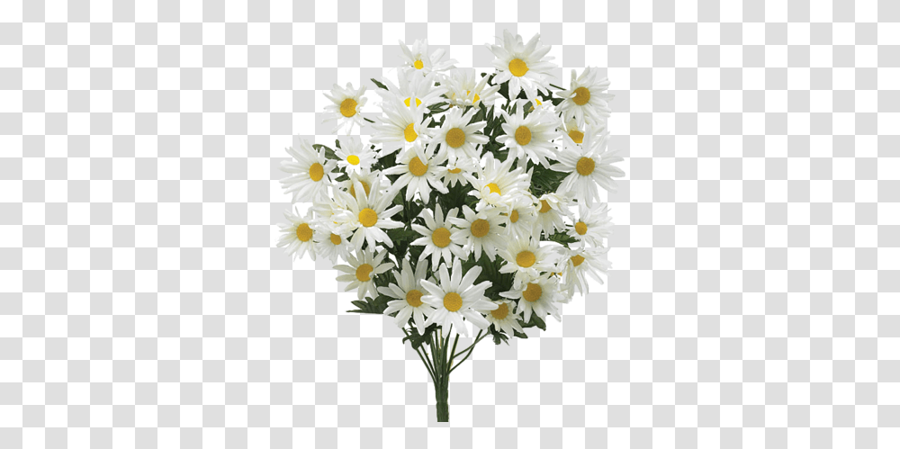 Images About Flower Flower Bouquet For Retirement, Plant, Daisy, Daisies, Blossom Transparent Png