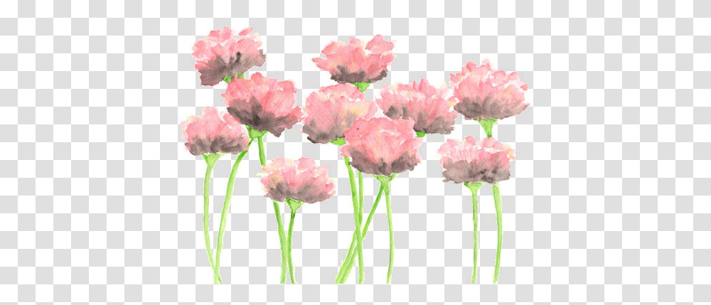 Images About Flower Flower Water Painting, Pattern, Plant, Blossom, Purple Transparent Png