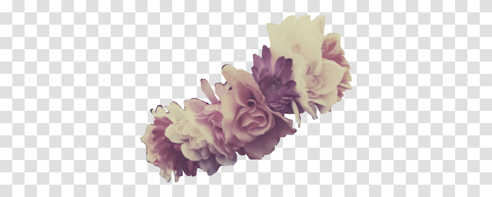 Images About Truly Beautiful Flower Crown, Plant, Blossom, Carnation, Peony Transparent Png