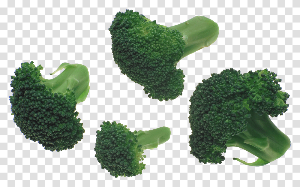 Images Background Broccoli Transparent Png