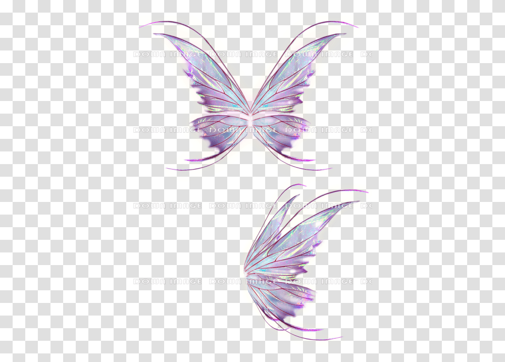 Images Butterflies, Invertebrate, Animal, Person, Human Transparent Png