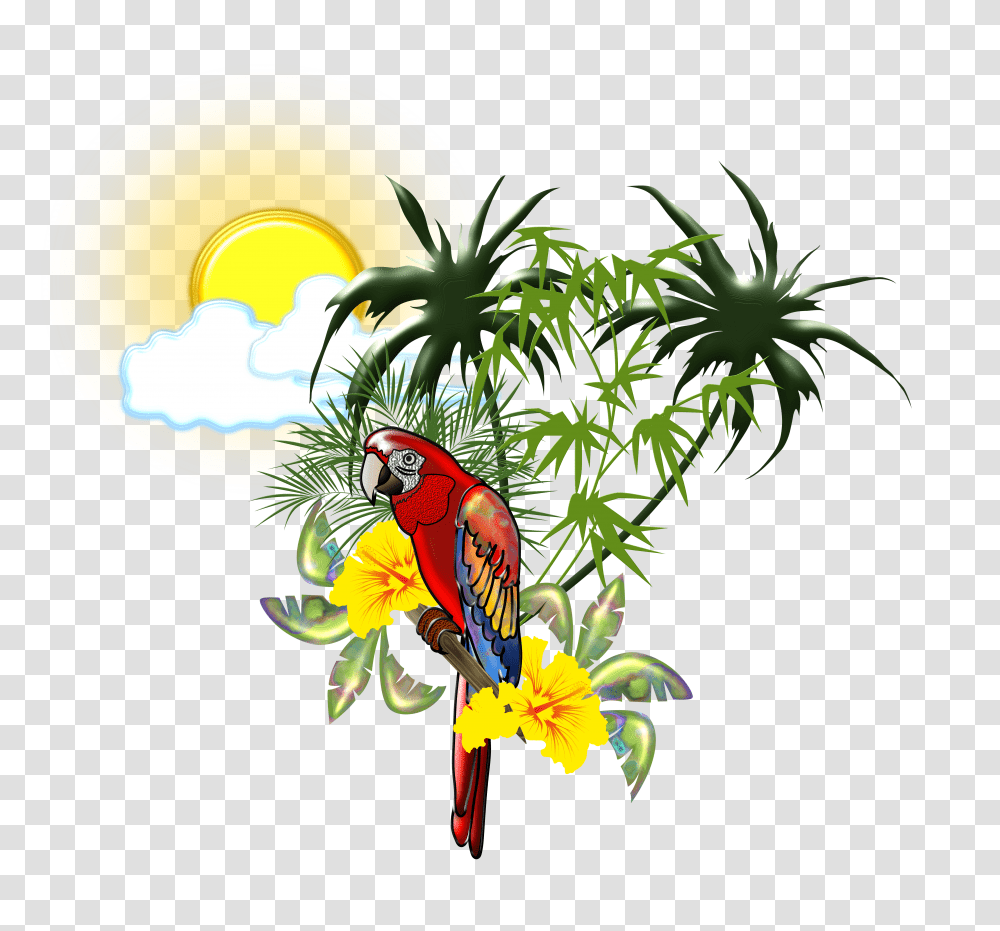 Images Category Definition Top Tropical Island Transparent Png