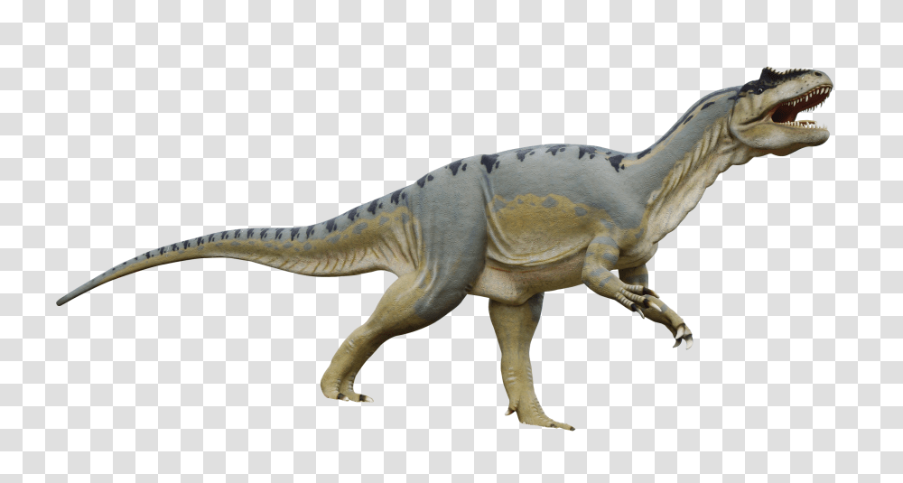 Images, Dinosaur Image, Animals, Reptile, T-Rex Transparent Png