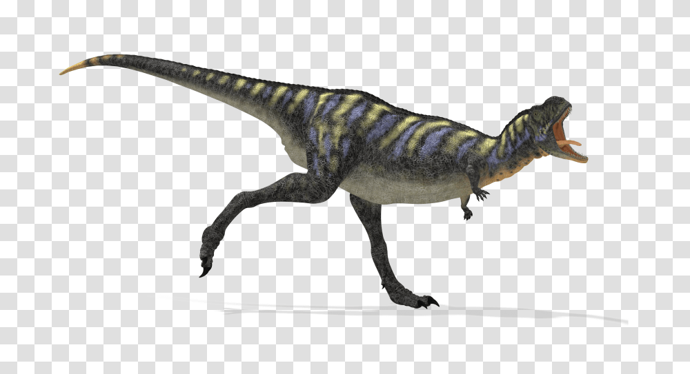 Images, Dinosaur Image, Animals, Reptile, T-Rex Transparent Png