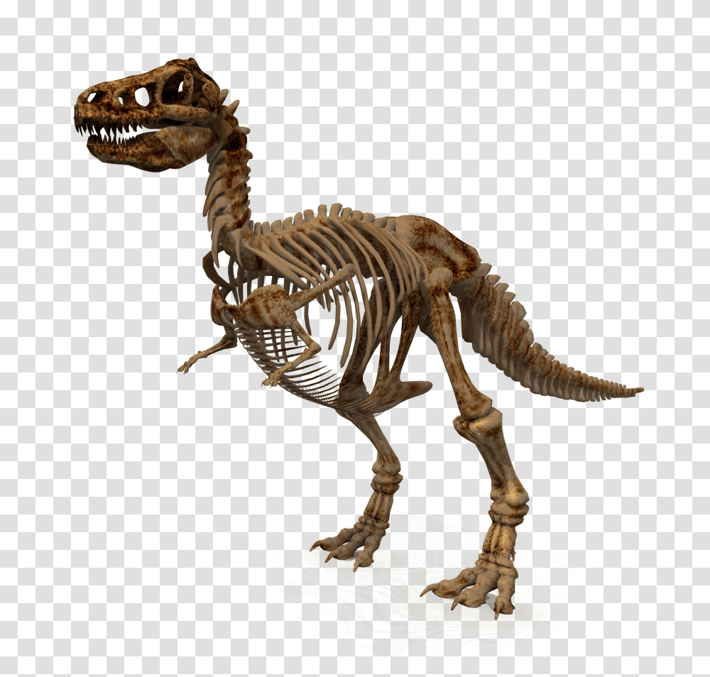 Images, Dinosaur Image, Animals, Reptile, T-Rex Transparent Png