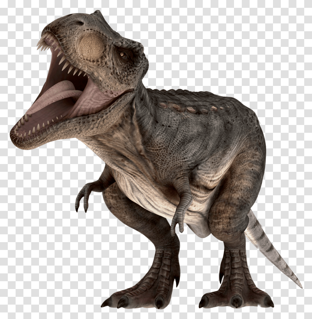 Тираннозавр на белом фоне парк Юрского периода
