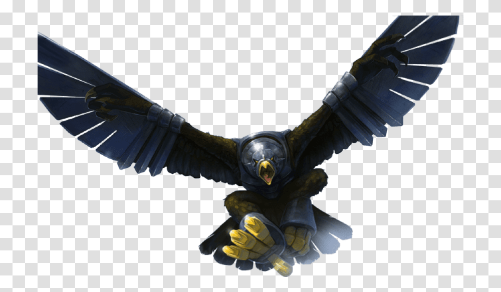 Images Eagle Rage, Bird, Animal, Flying, Vulture Transparent Png
