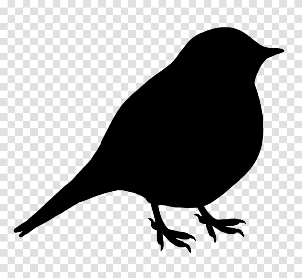 Images For Gt Sitting Birds Silhouette Printables, Animal, Crow, Blackbird, Agelaius Transparent Png