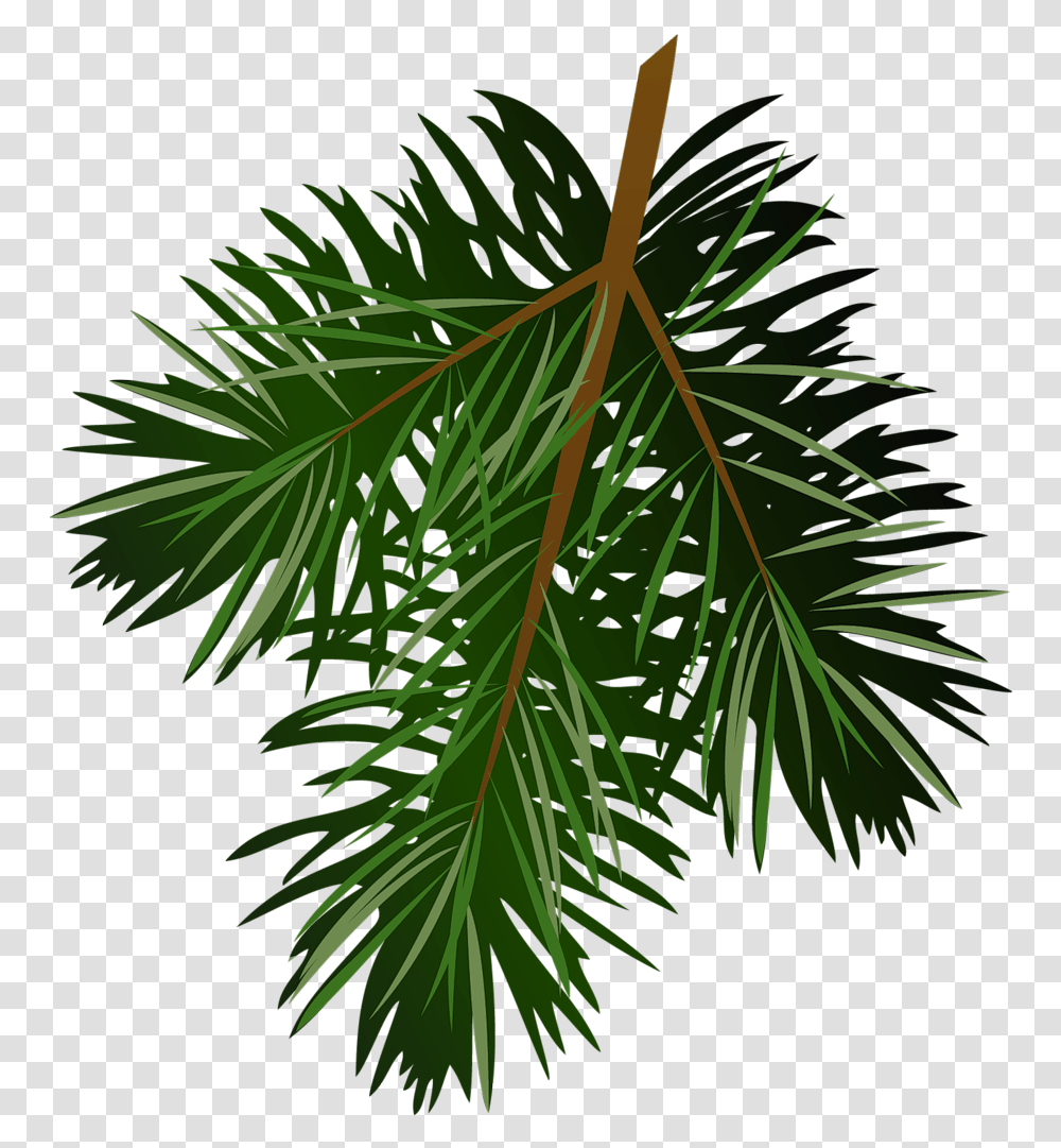 Images For Pine Branch Clip Art Pine Branch, Tree, Plant, Conifer, Fir Transparent Png