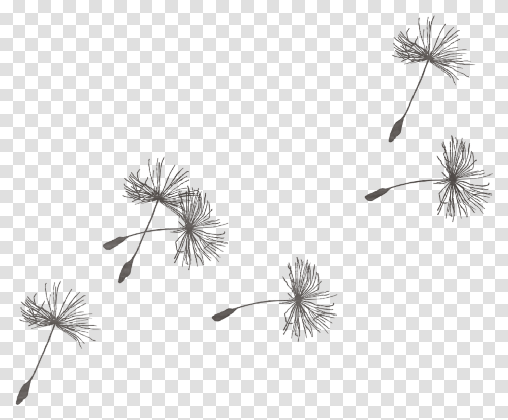 Images Of Dandelion Drawing Blowing In The Wind Dandelion Wish Clip Art, Plant, Flower, Blossom, Weed Transparent Png
