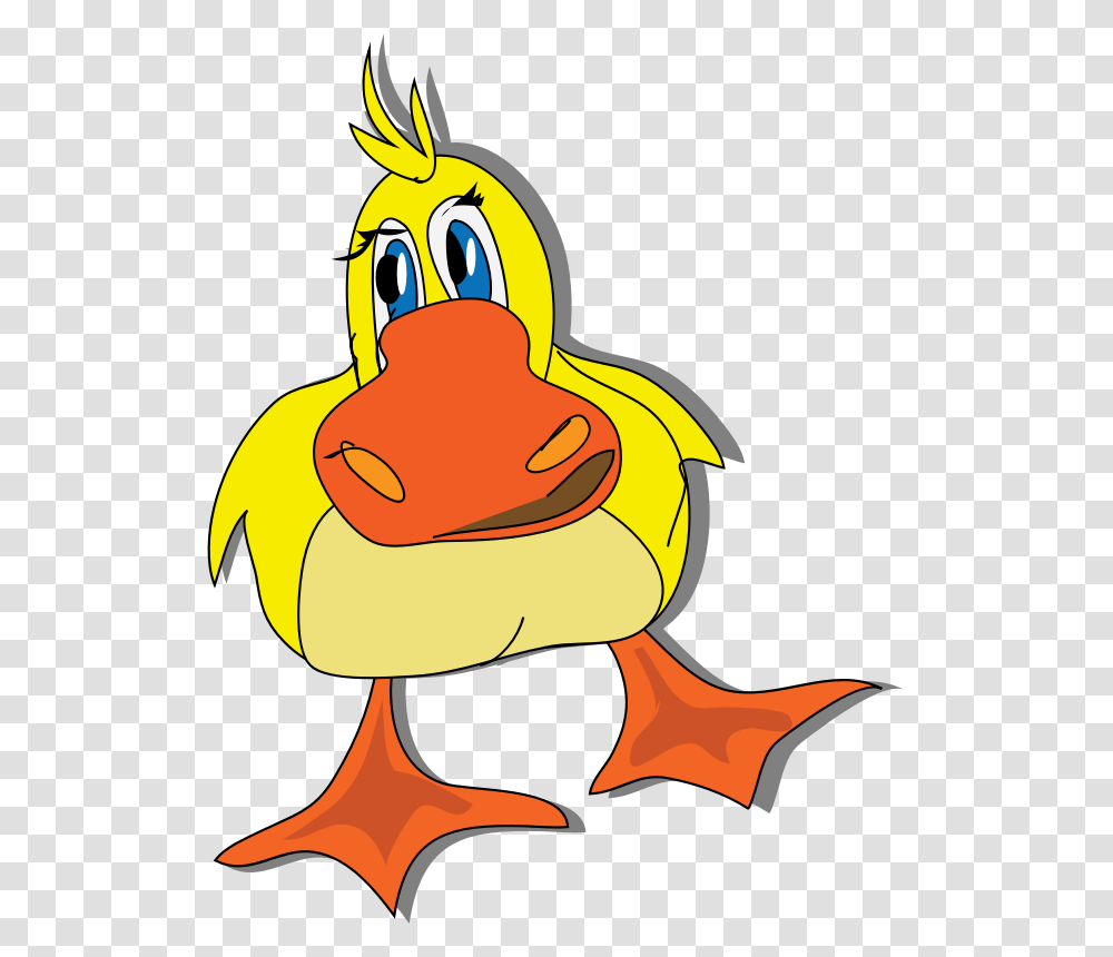 Images Of Duck Face Clip Art, Animal, Bird, Invertebrate, Insect Transparent Png