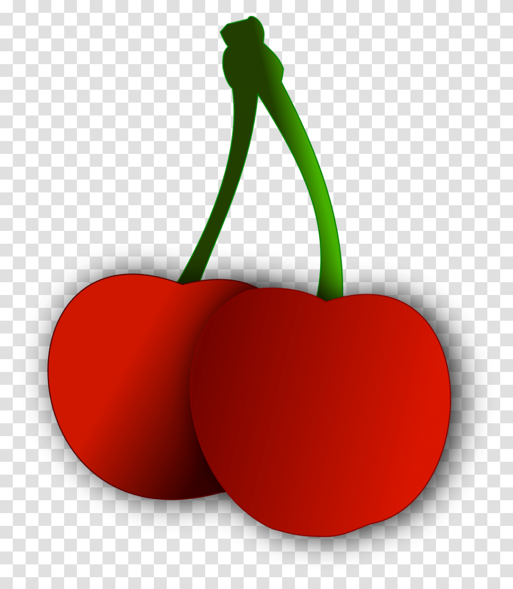 Images Of Fruit Vector, Plant, Food, Cherry Transparent Png