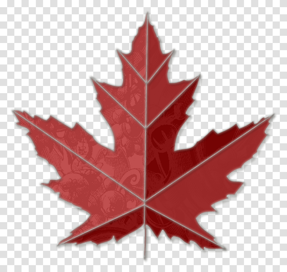 Images Of Maple Leaves Toronto Maple Leaf Tree, Plant, Cross, Veins Transparent Png
