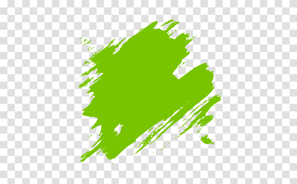 Images Of Paint Splash, Leaf, Plant, Tree Transparent Png